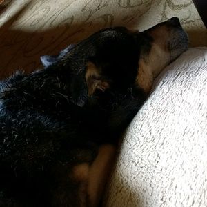 Meet your Posher, Zach